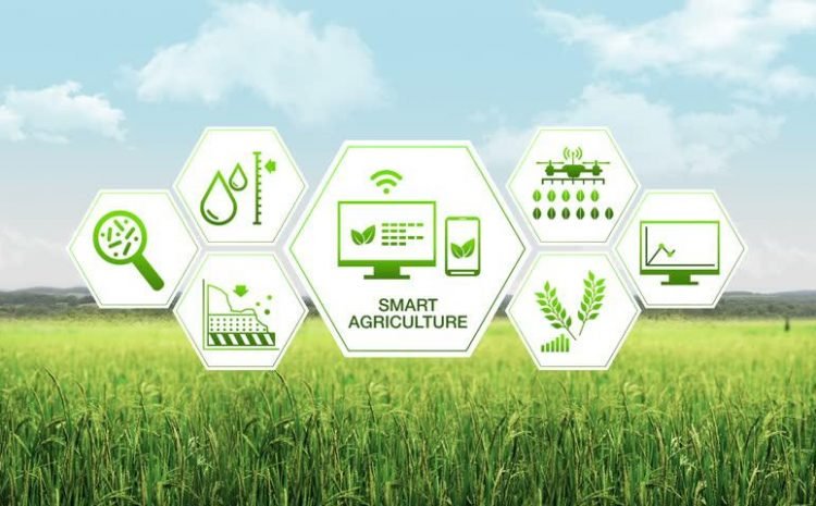 Read more about the article Technologies that caused the Agricultural Revolution in 2021