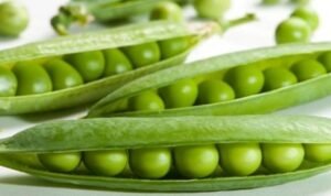 Read more about the article Best Farming Method For Green Pea