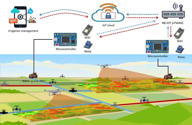 You are currently viewing How Automated Irrigation System Works?
