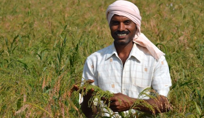 You are currently viewing Agricultural Schemes Run By Indian Government