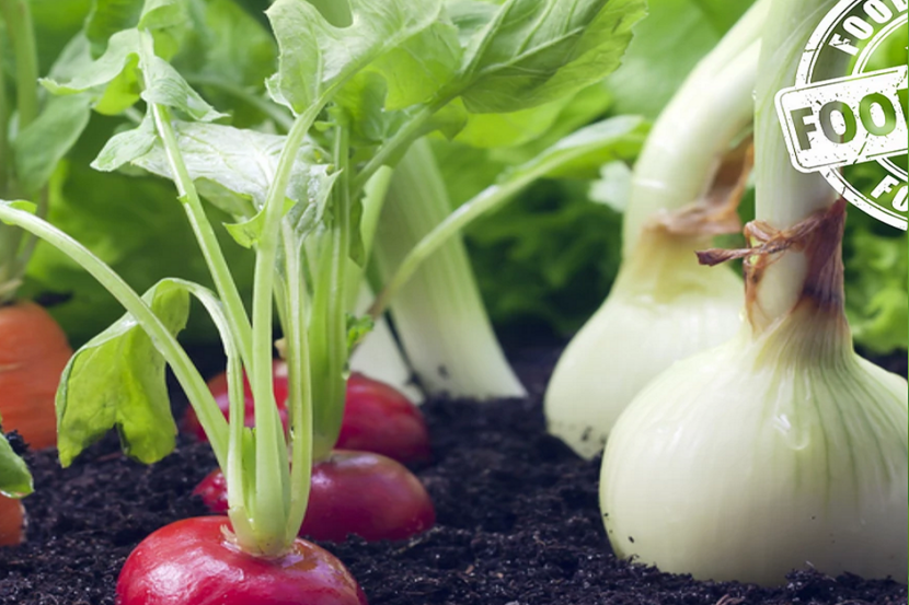 You are currently viewing Latest Update On Organic Farming of Vegetables