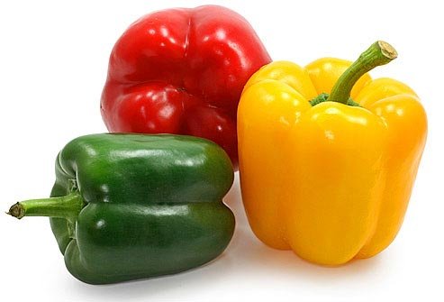 You are currently viewing How to do organic farming of capsicum?