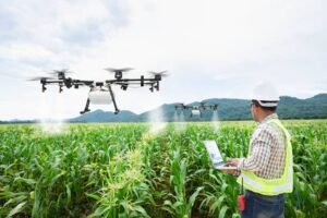 Read more about the article Technology That Changes Efficiency In Agriculture