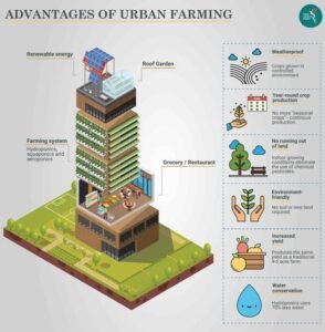 Read more about the article What is Vertical Farming And How It Can Be Done?