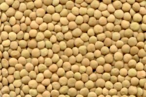 Read more about the article Lentil (Masoor) Farming Information Guide