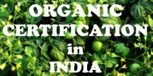 Read more about the article How To Take Organic Certification In India?