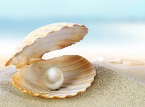 You are currently viewing Pearl Farming Information Guide For Beginners