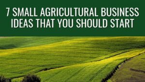 Read more about the article Top 7 Profitable Agribusiness Ideas To start In India 2022