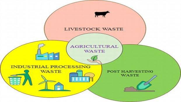 You are currently viewing How To Do Agricultural Waste Management?