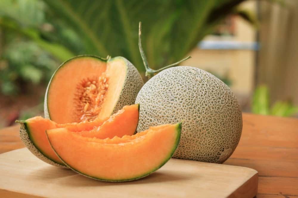 You are currently viewing High Yield Farming Ideas For Muskmelon