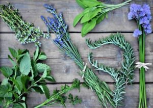 Read more about the article Top 10 Herbs That Good for Health