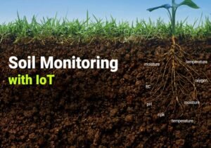 Read more about the article How To Do Soil Nutrient Management with Sensor?