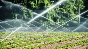 Read more about the article Sprinkler Irrigation & Crop Benefits